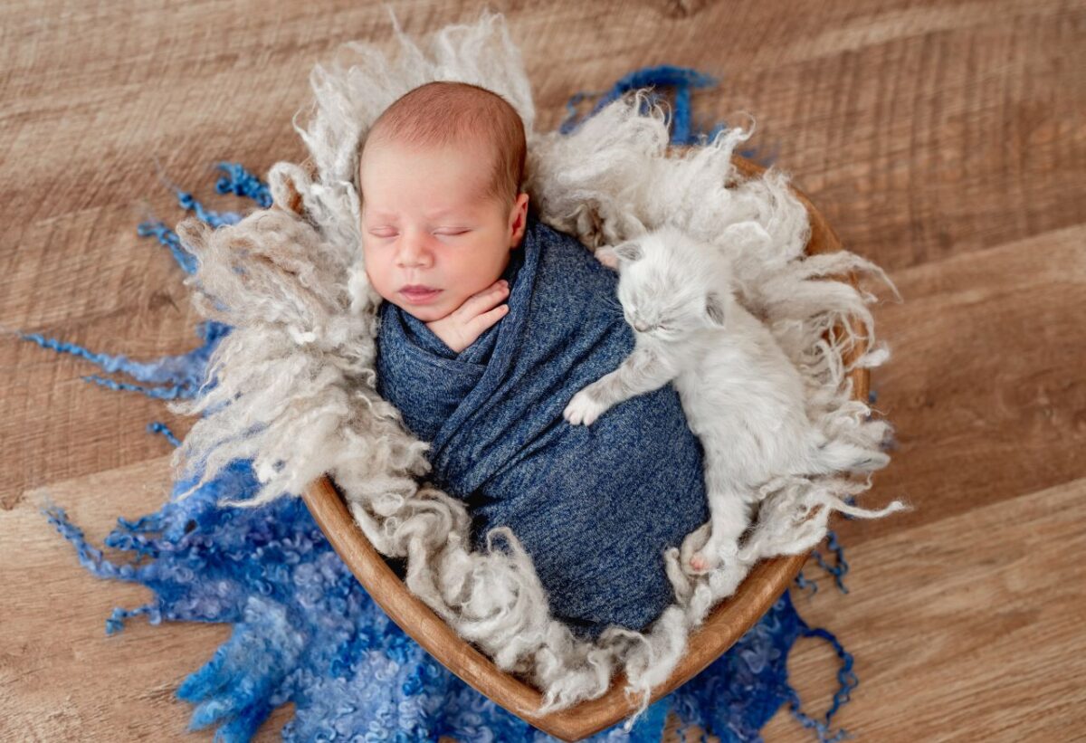 beautiful newborn