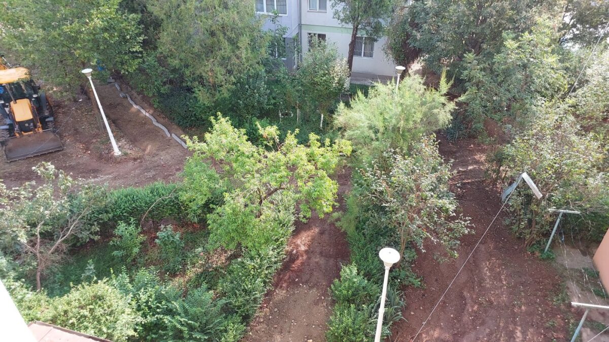 view from my window