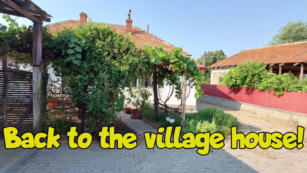 back to the village house