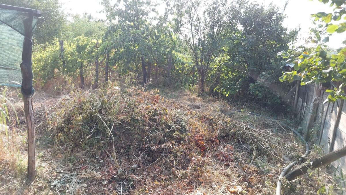 part of the weeds