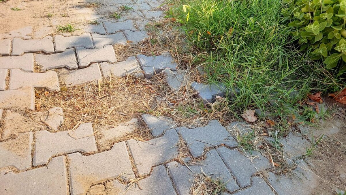 sunken pavers in the yard
