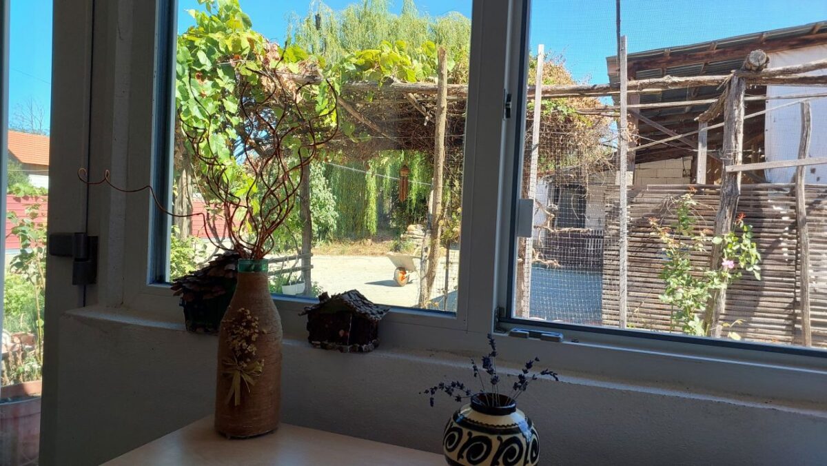 view from the window