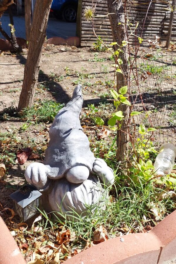welcome home gnome