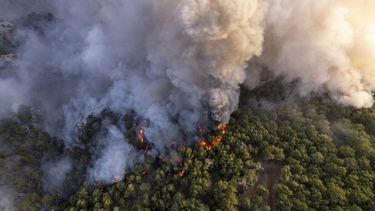 massive forest fire in ROmania