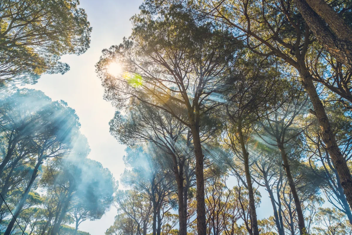 air quality in Romania