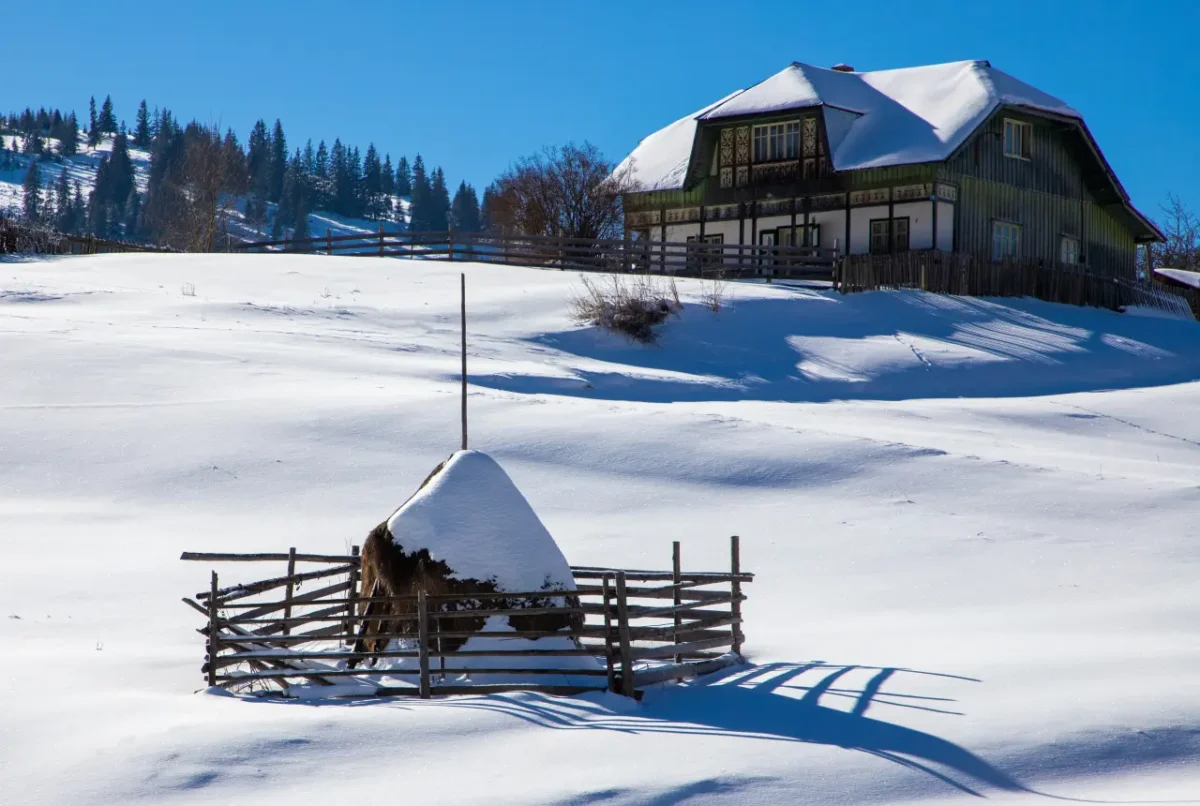 maramures in winter