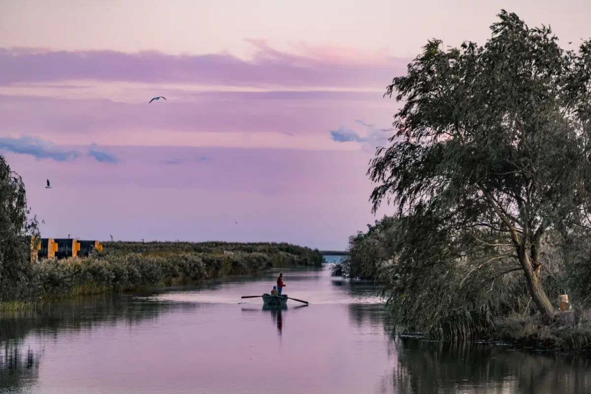 Danube Delta Visited from Tulcea