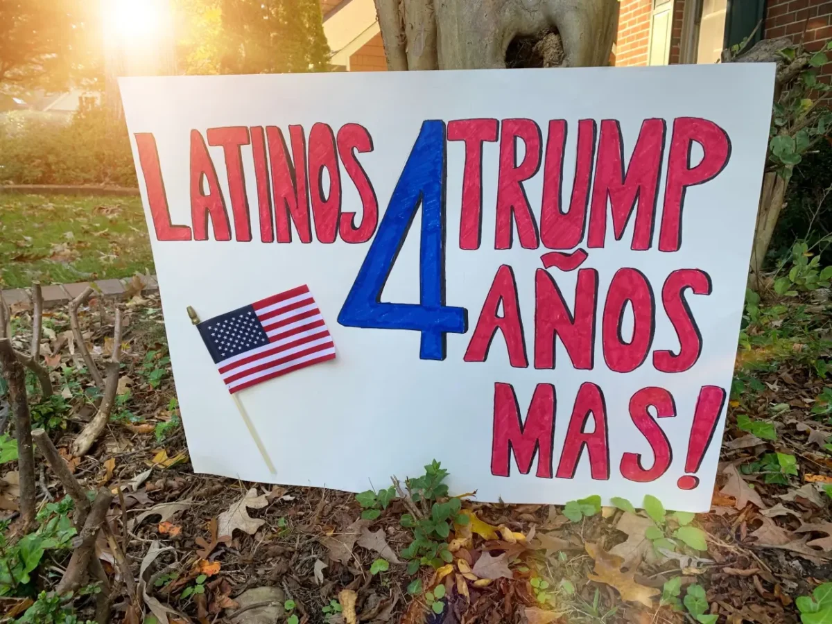 ironic sign for elections
