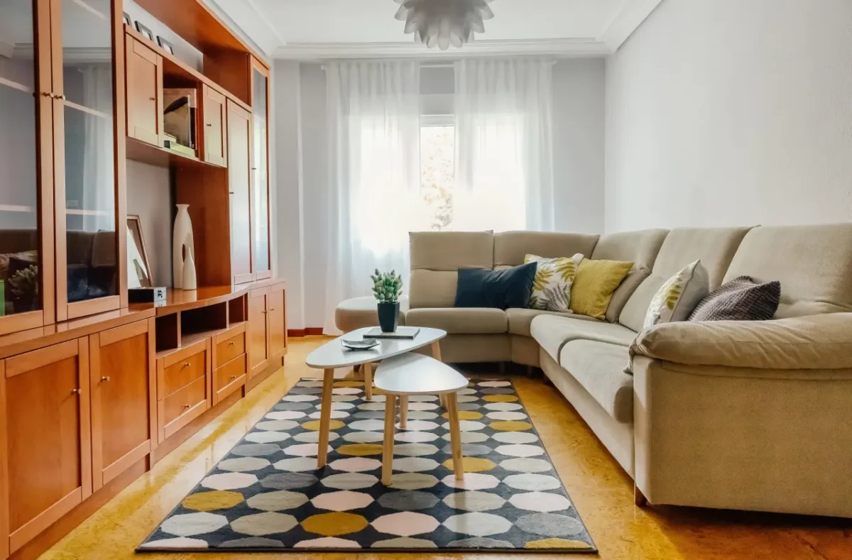narrow Romanian living room