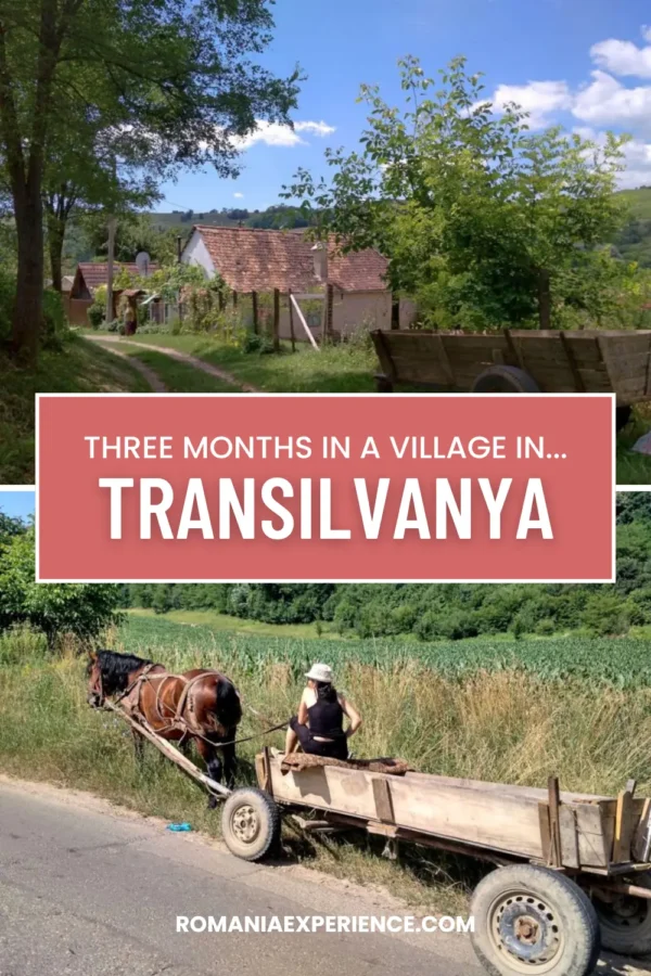Living in a Transylvanian village Pinterest Pin