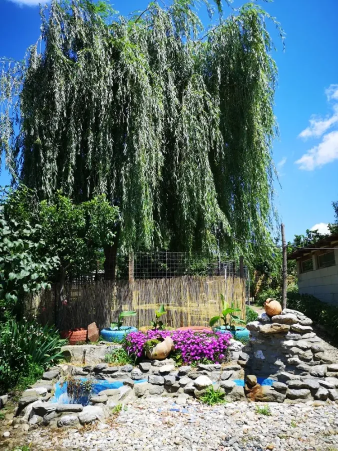 Our perfect Village house back in June 2020