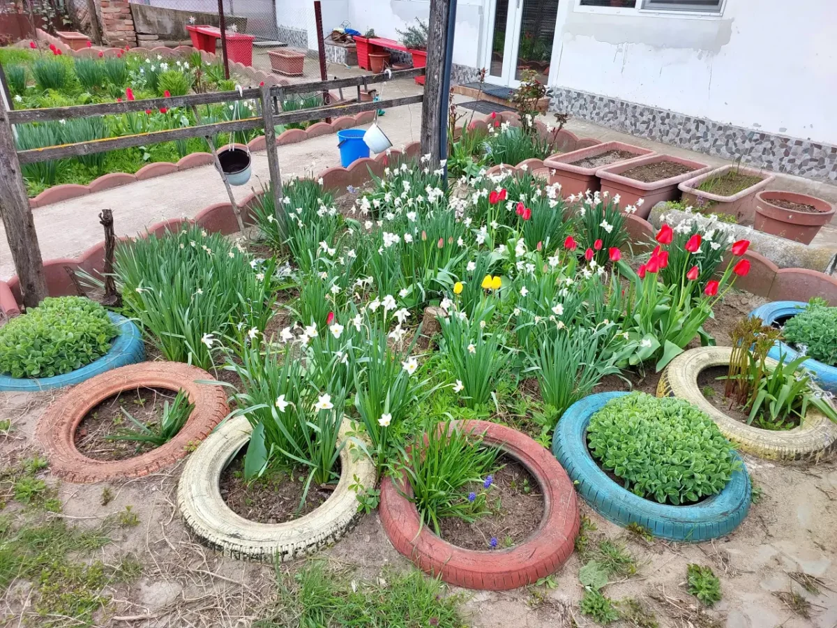 all the flowers at my village house in spring