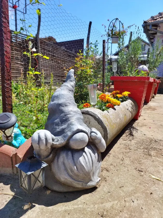 my garden gnome
