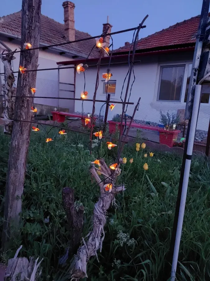 solar powered decorations